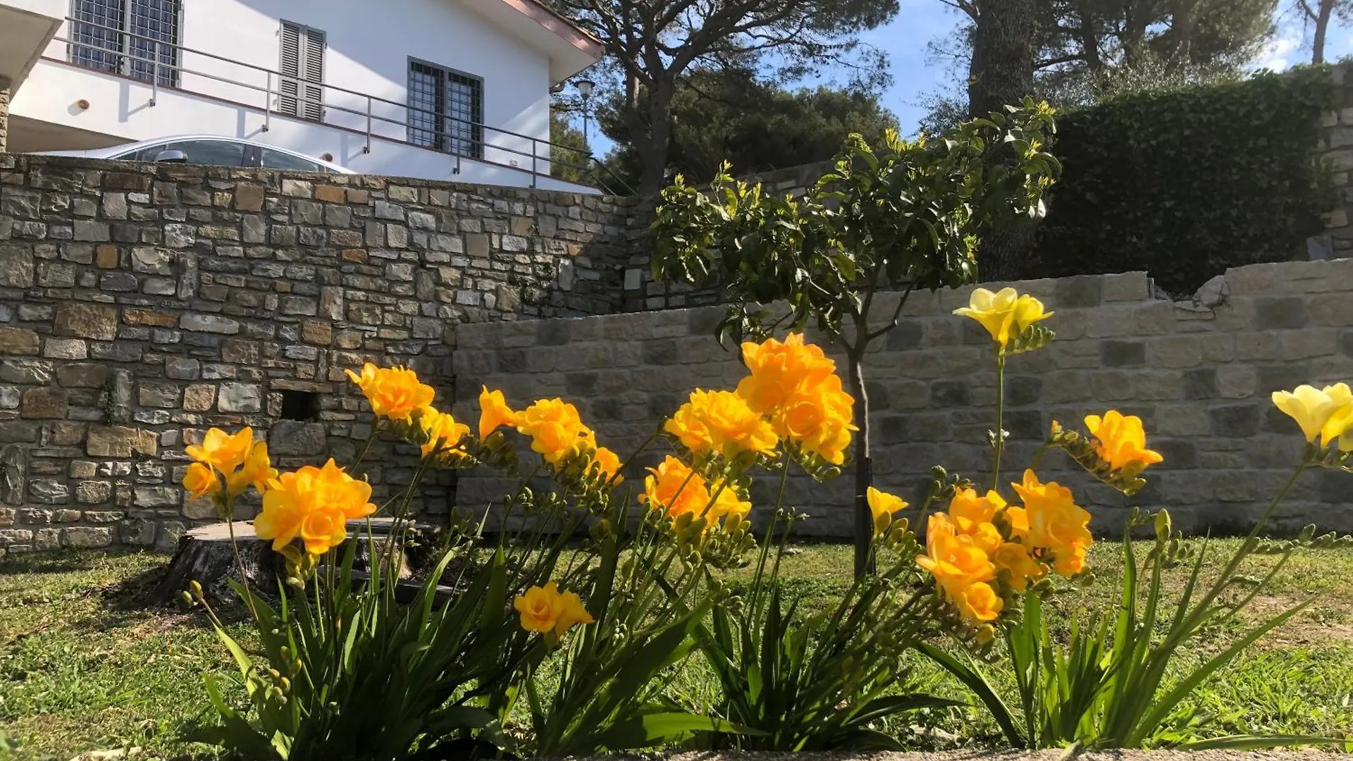 Bed & Breakfast Il Lampin B&B Andora